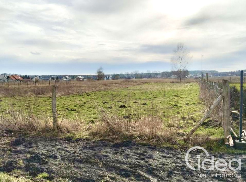 Działka Sprzedaż Niedźwiedź 2