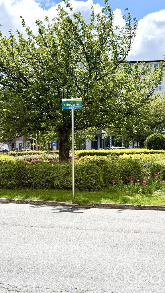 Mieszkanie Sprzedaż Szczecin Centrum Monte Cassino 34