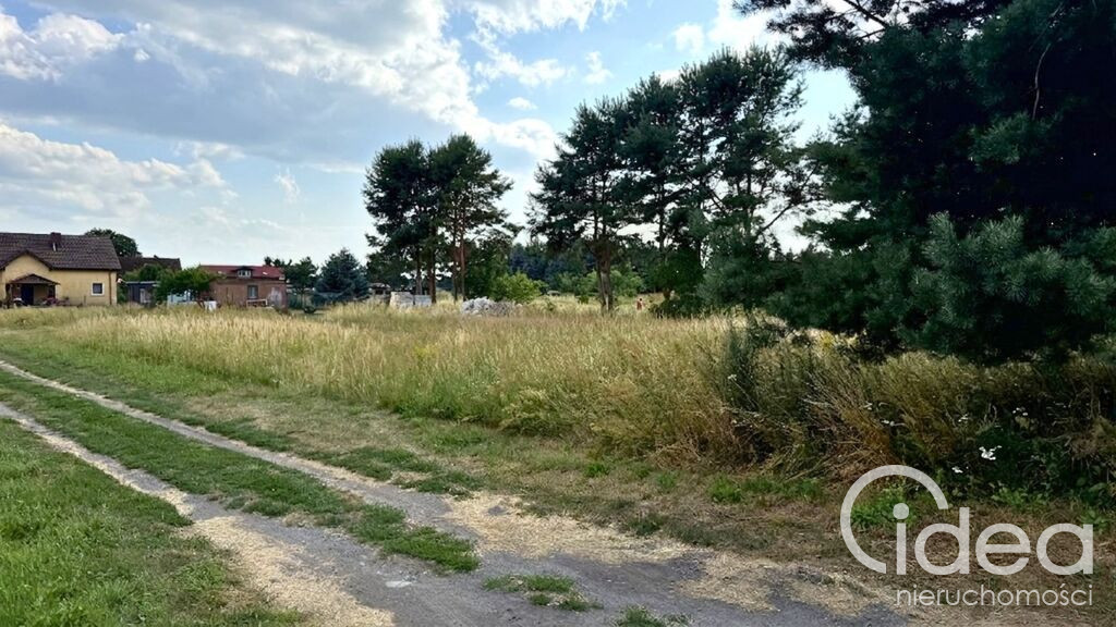 Działka Sprzedaż Modrzewie 5