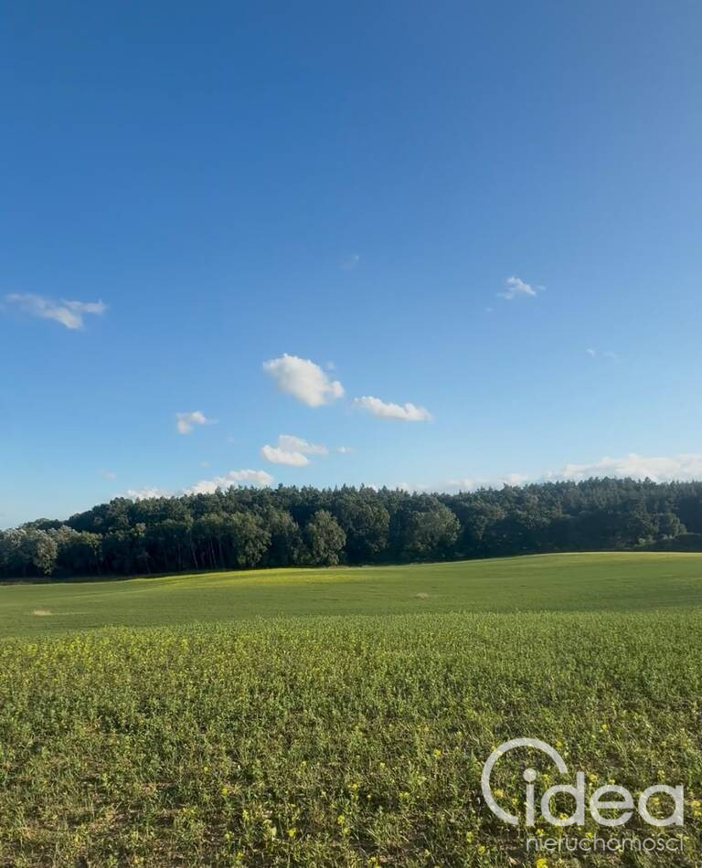 Działka Sprzedaż Buk 1