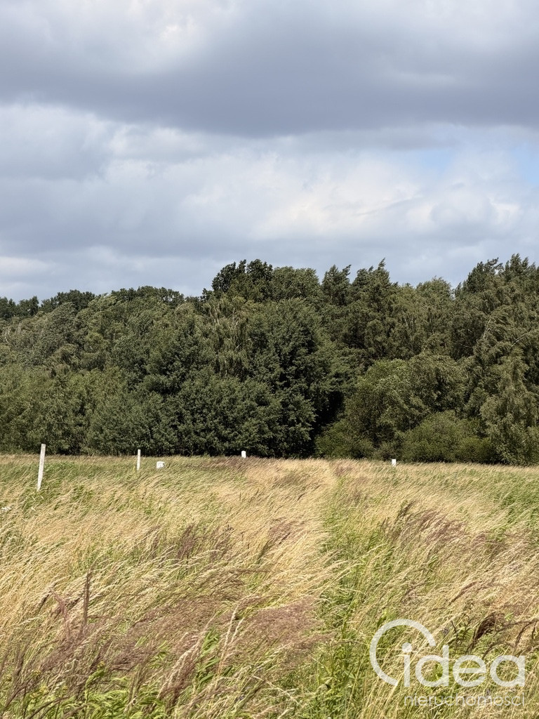 Działka Sprzedaż Niedźwiedź 5