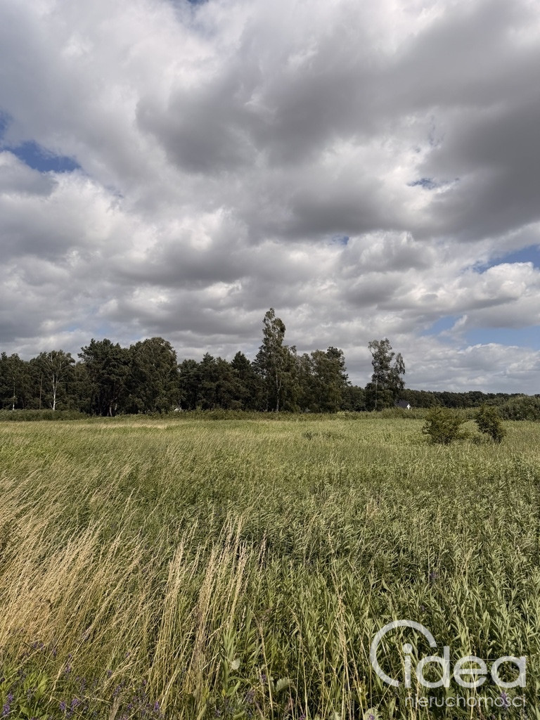 Działka Sprzedaż Niedźwiedź 8