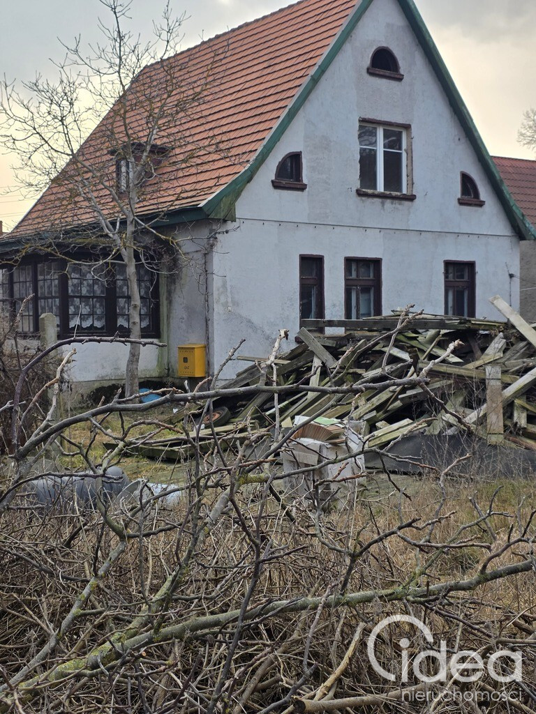 Dom Sprzedaż Trzebież Leśna 4
