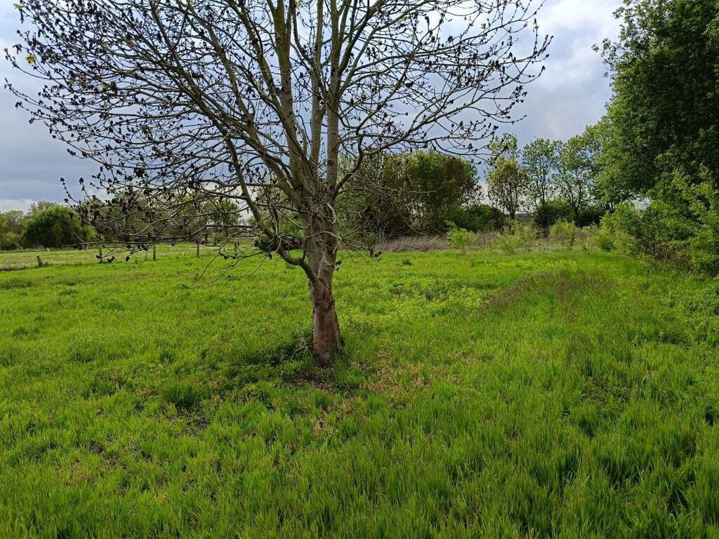 Działka Sprzedaż Rurzyca 3