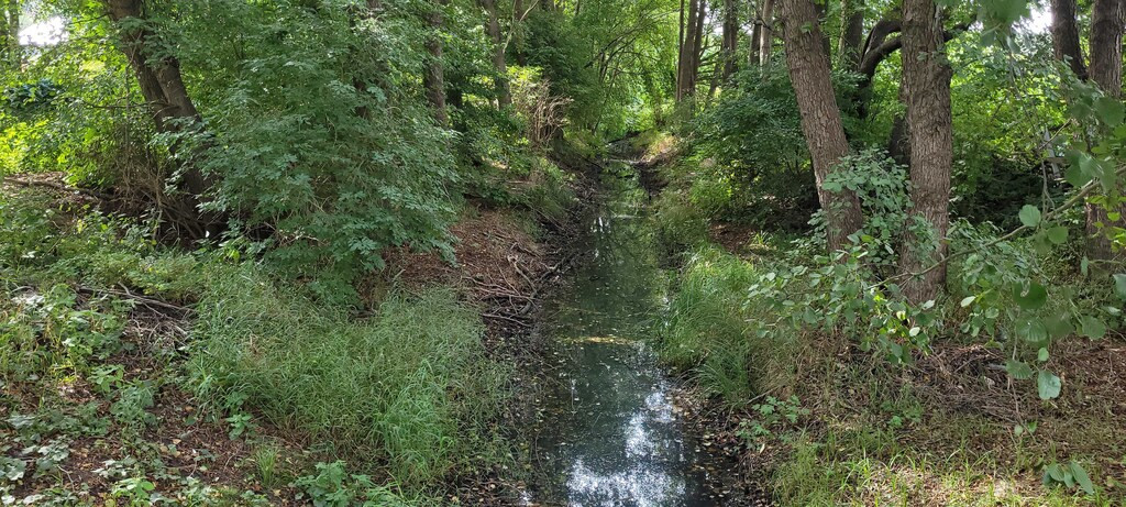 Działka Sprzedaż Szczecin Sławociesze 9