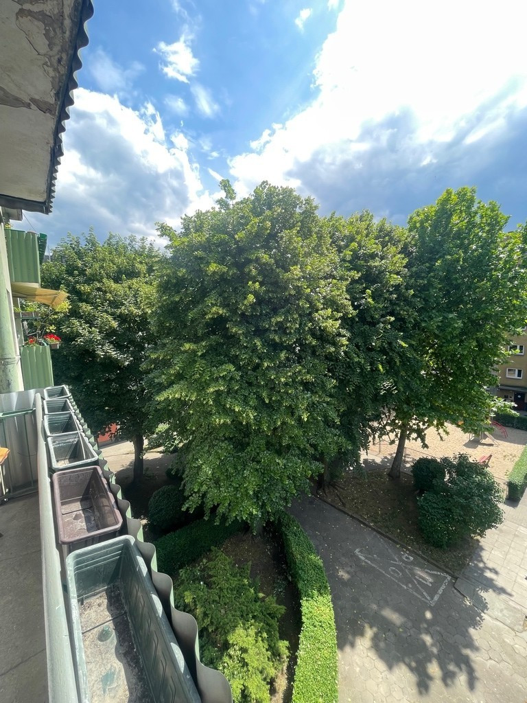 Mieszkanie Wynajem Szczecin Centrum Jana i Jędrzeja Śniadeckich 14