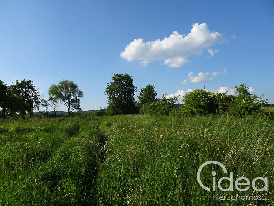 Działka Sprzedaż Binowo