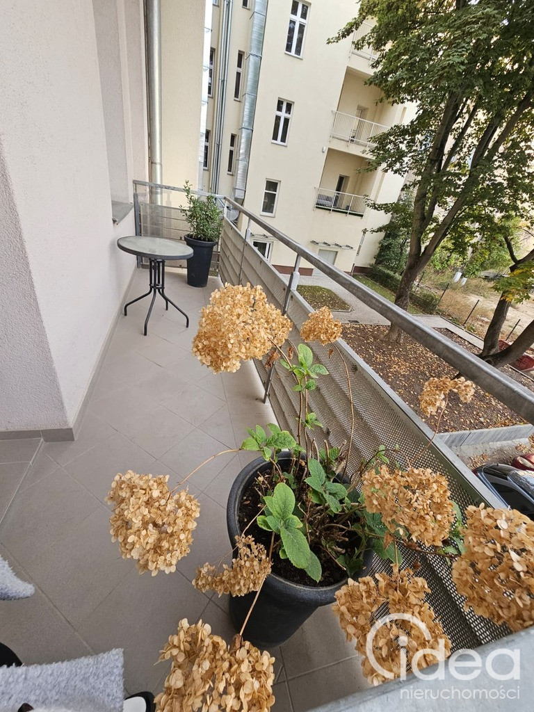 Mieszkanie Wynajem Szczecin Śródmieście-Centrum Księcia Bogusława X