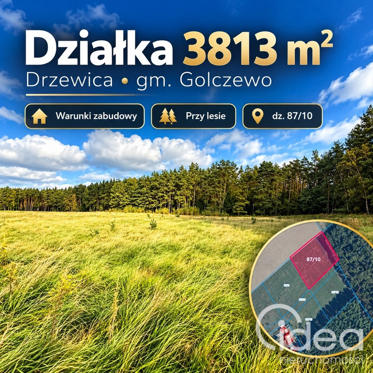 Działka Sprzedaż Drzewica