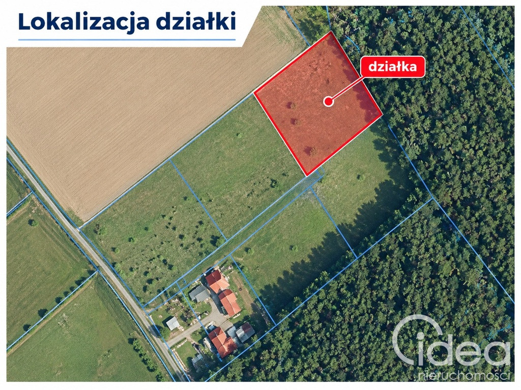 Działka Sprzedaż Drzewica