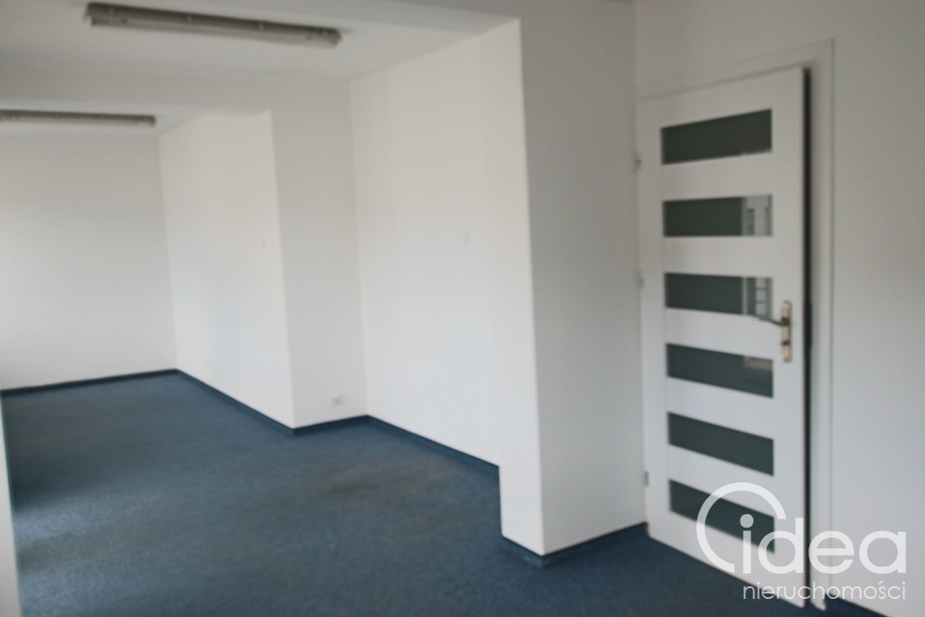 Lokal Wynajem Szczecin Centrum 8