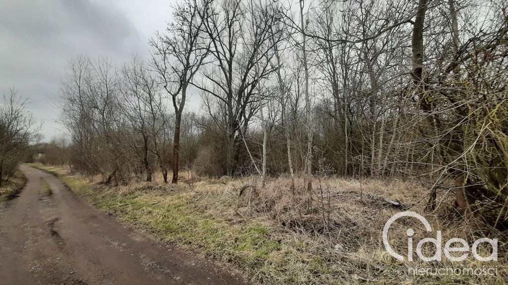 Działka Sprzedaż Karwowo 5