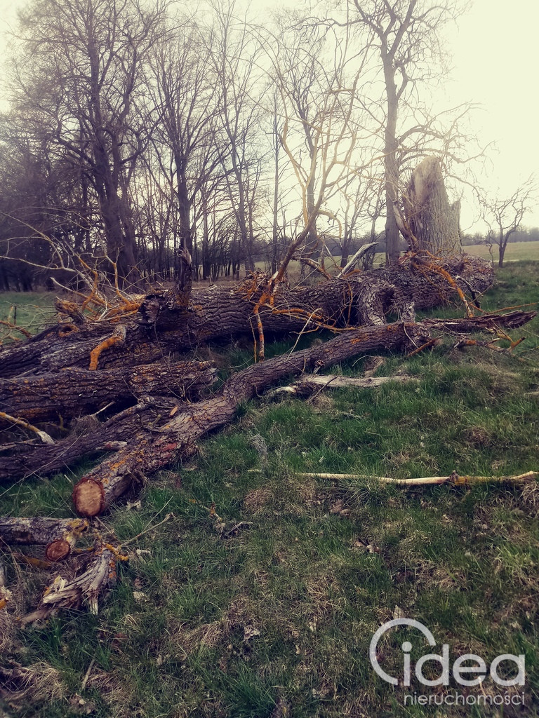 Działka Sprzedaż Łęgi