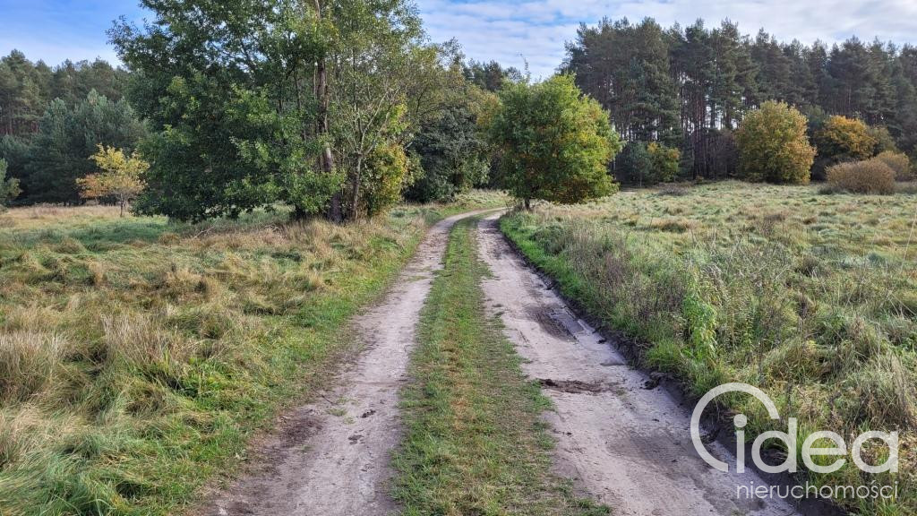 Działka Sprzedaż Warnowo 4