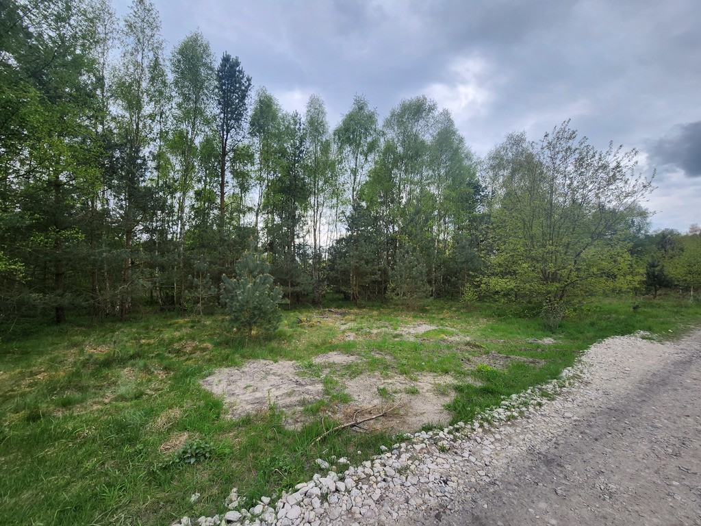 Działka Sprzedaż Tanowo Brzozowa 3