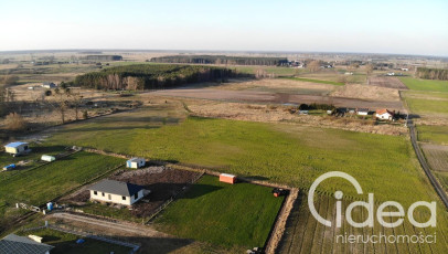 Działka Sprzedaż Lubczyna