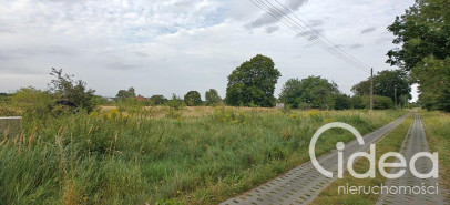 Działka Sprzedaż Białuń