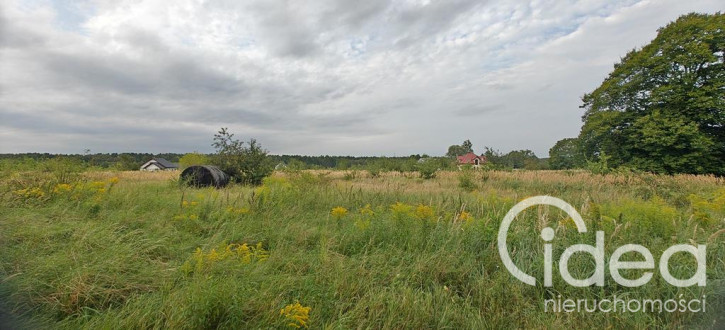Działka Sprzedaż Białuń 4