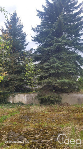Działka Sprzedaż Recz Kolejowa 1
