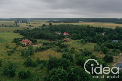 Działka Sprzedaż Charzyno