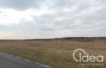 Działka Sprzedaż Skórka