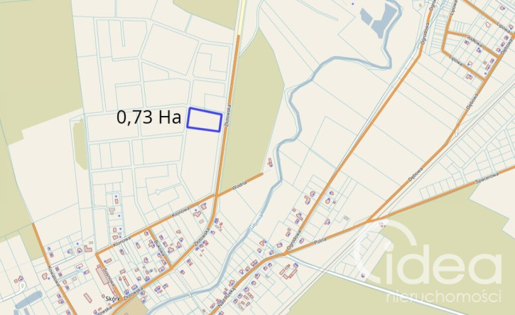 Działka Sprzedaż Skórka 5