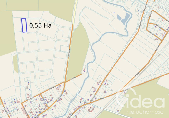 Działka Sprzedaż Skórka 6