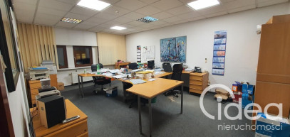 Lokal Wynajem Szczecin Śródmieście-Centrum