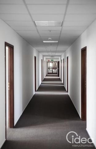 Lokal Wynajem Szczecin Śródmieście 4