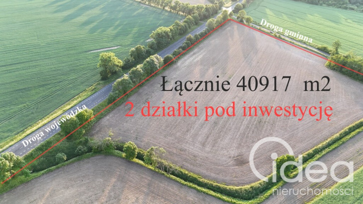 Działka Sprzedaż Ryszewko 4