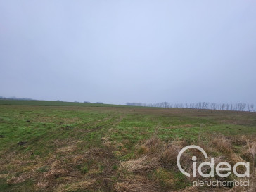 Działka Sprzedaż Warzymice