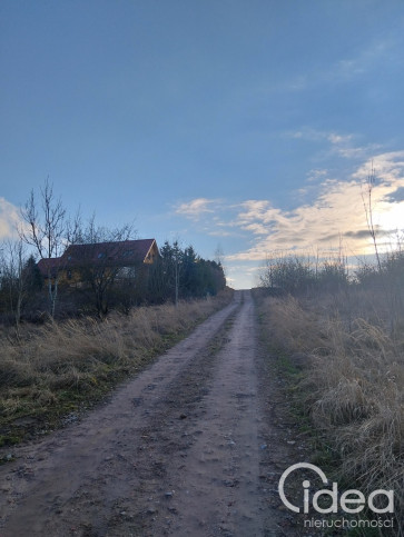 Działka Sprzedaż Siadło Dolne 4