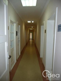 Lokal Wynajem Szczecin Centrum