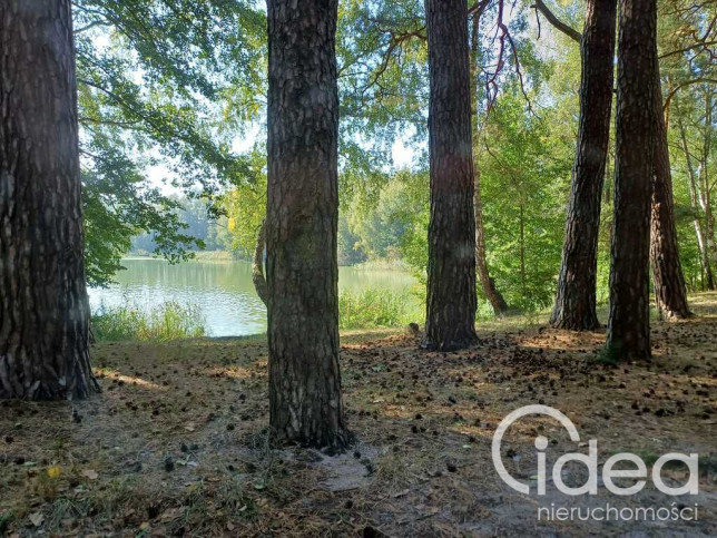 Działka Sprzedaż Bartoszewo 9