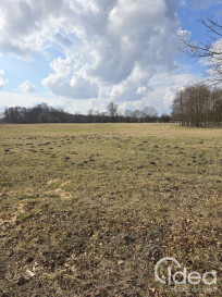 Działka Sprzedaż Rzędziny