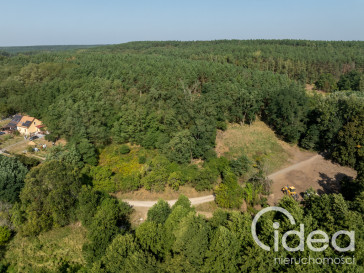 Działka Sprzedaż Stary Błeszyn