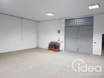 Lokal Wynajem Szczecin Dąbie