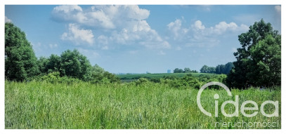 Działka Sprzedaż Barnisław