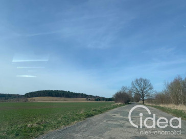 Działka Sprzedaż Świeszewo