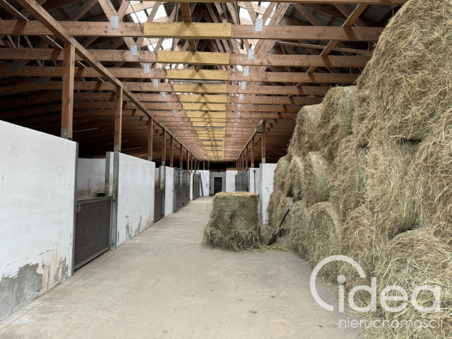 Dom Sprzedaż Kamień Pomorski 29