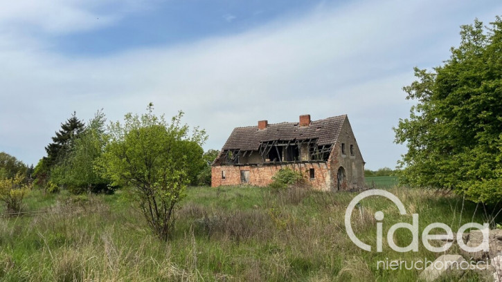 Działka Sprzedaż Plöwen, Löcknitz-Penkun, Vorpommern-Greifswald, Meklemburgia-Pomorze Przednie, 17322, Niemcy retziner weg 13