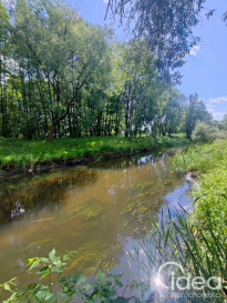 Działka Sprzedaż Żarowo