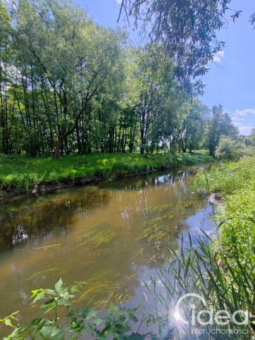 Działka Sprzedaż Żarowo 7