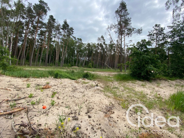 Działka Sprzedaż Dziwnówek 8