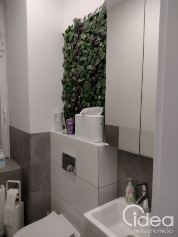 Lokal Wynajem Szczecin Centrum 7