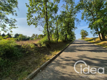 Działka Sprzedaż Kamieniec