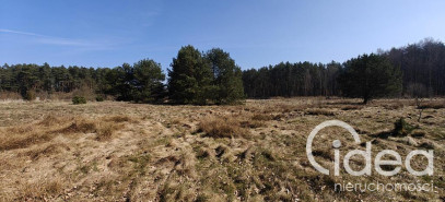Działka Sprzedaż Nowogard