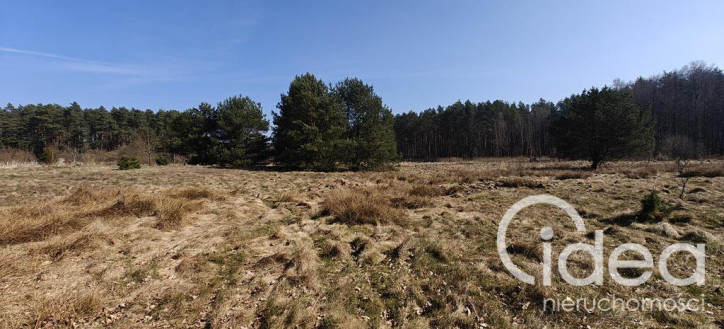 Działka Sprzedaż Nowogard 1