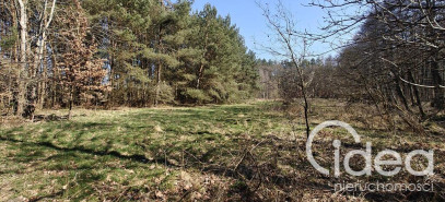 Działka Sprzedaż Nowogard