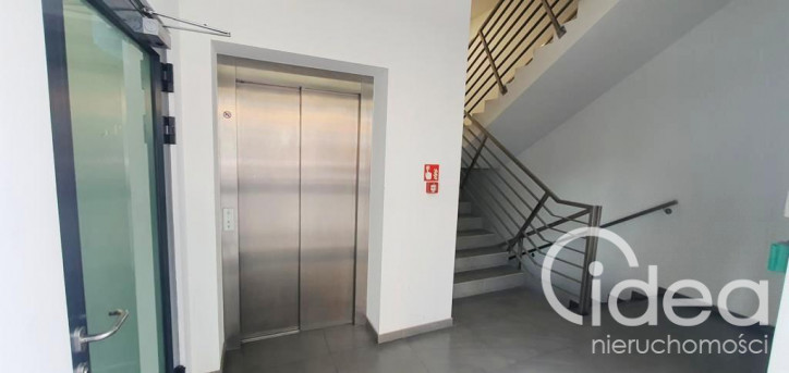 Lokal Wynajem Szczecin Centrum 23